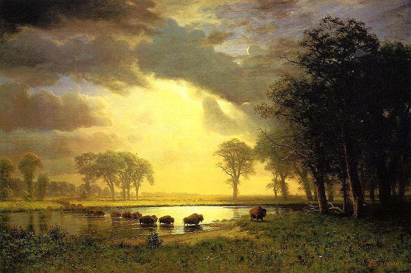 Albert Bierstadt The_Buffalo_Trail China oil painting art